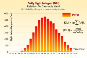 Daily Light Integral